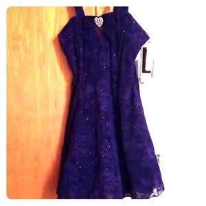 Beautiful NWT Sparkly Purple Party 👗 Dress